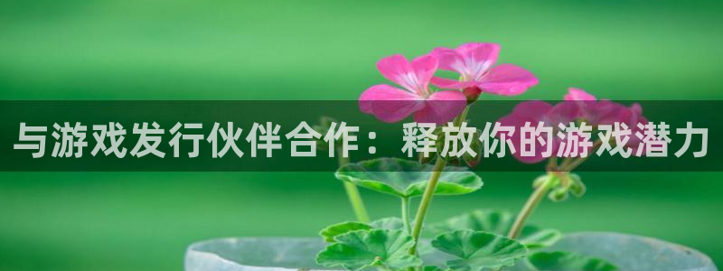 新宝gg创造奇迹登录注册玩法：与游戏发行伙伴合作：释放你的游戏潜力