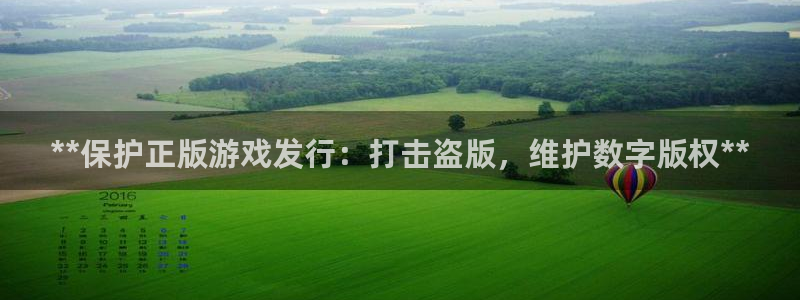 新宝5gg一创造奇迹：**保护正版游戏发行：打击盗版，维护数字版权**