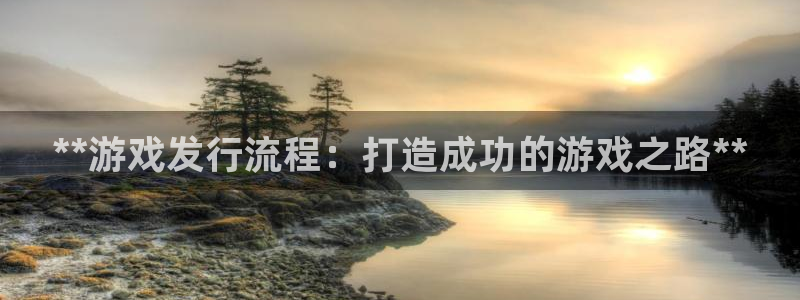 新宝gg—创造奇迹登录1956：**游戏发行流程：打造成功的游戏之路**
