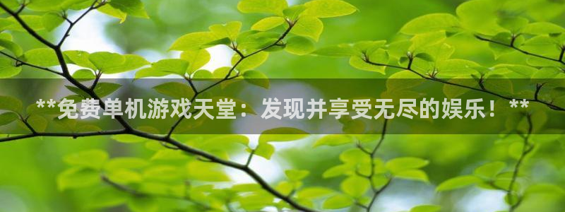 新宝gg 创造奇迹：**免费单机游戏天堂：发现并享受无尽的娱乐！**