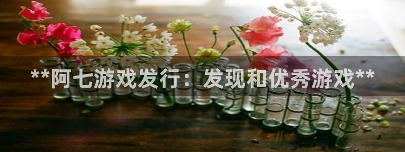 新宝gg平台注册官网：**阿七游戏发行：发现和优秀游戏**