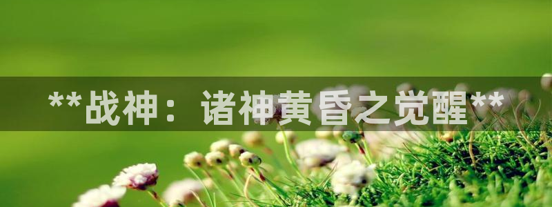 新宝gg平台注册官网：**战神：诸神黄昏之觉醒**