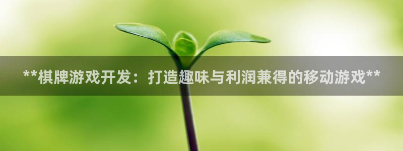 新宝gg创造奇迹登录入口：**棋牌游戏开发：打造趣味与利润兼得的移动游戏**
