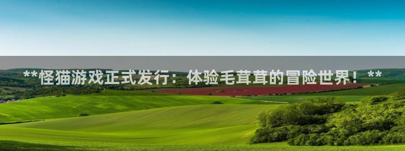 新宝gg1956注册地址：**怪猫游戏正式发行：体验毛茸茸的冒险世界！**