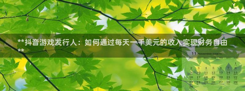 新宝gg平台—创造奇迹登录首页：**抖音游戏发行人：如何通过每天一千美元的收入实现财务自由
**