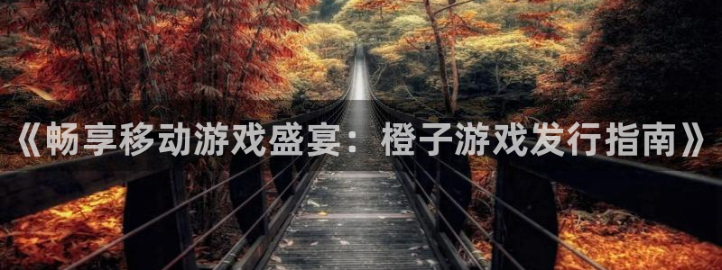 新宝gg平台—创造奇迹：《畅享移动游戏盛宴：橙子游戏发行指南》