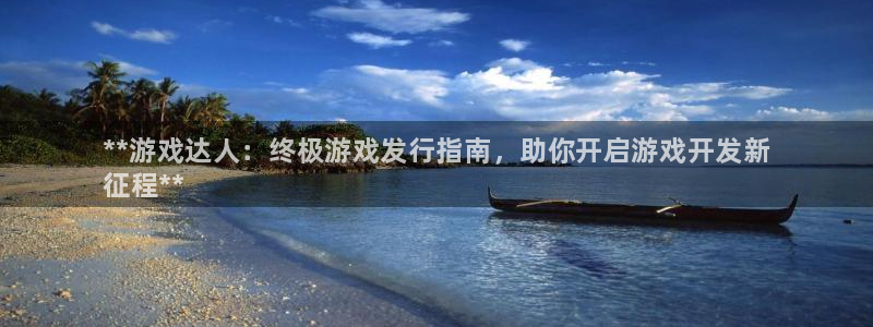 新宝gg注册网址：**游戏达人：终极游戏发行指南，助你开启游戏开发新
征程**