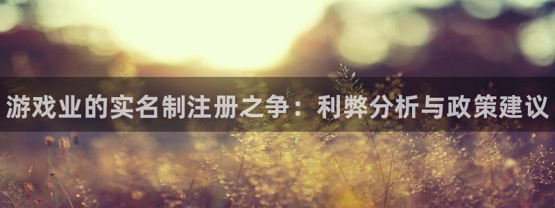 新宝gg平台注册地址：游戏业的实名制注册之争：利弊分析与政策建议