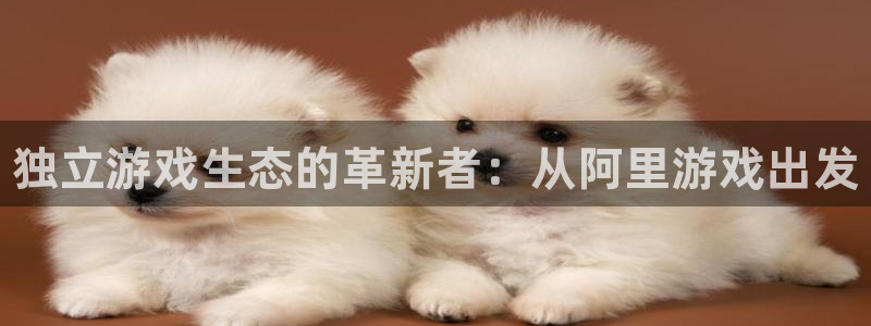 新宝gg平台登录手机版：独立游戏生态的革新者：从阿里游戏出发