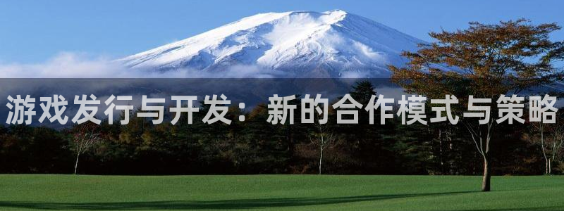 新宝gg平台—创造奇迹登录首页：游戏发行与开发：新的合作模式与策略