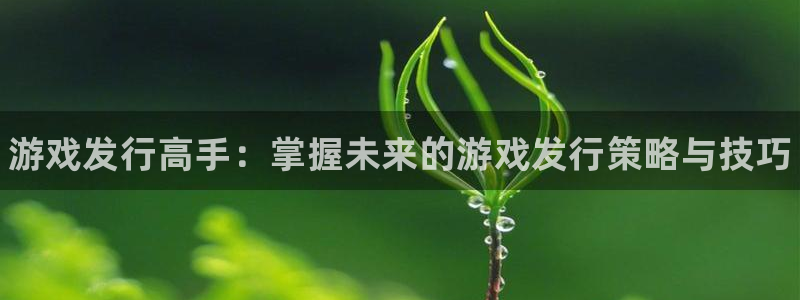 新宝gg平台—创造奇迹登录首页：游戏发行高手：掌握未来的游戏发行策略与技巧