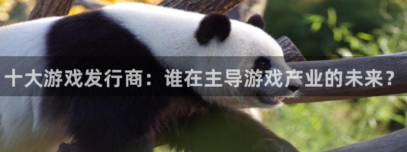 新宝gg真的能赚钱么：十大游戏发行商：谁在主导游戏产业的未来？