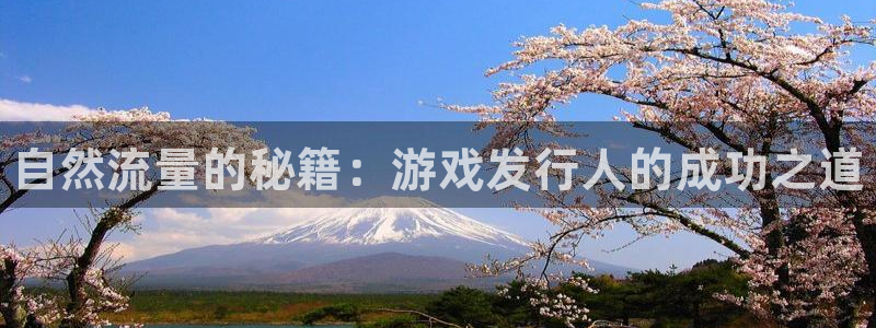 新宝gg创造奇迹代理