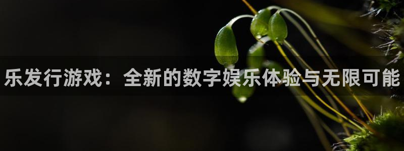 新宝gg登录了还能上吗：乐发行游戏：全新的数字娱乐体验与无限可能