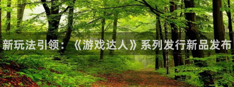 新宝gg登录入口：新玩法引领：《游戏达人》系列发行新品发布