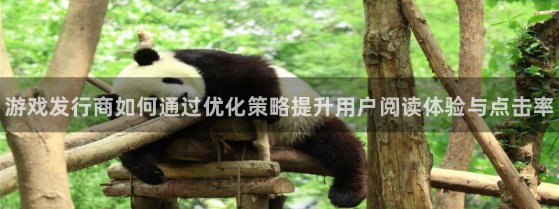 新宝gg平台：游戏发行商如何通过优化策略提升用户阅读体验与点击率
