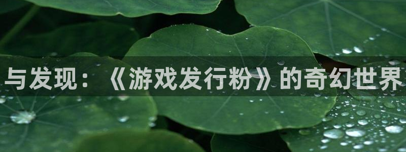 新宝gg 创造奇迹：与发现：《游戏发行粉》的奇幻世界