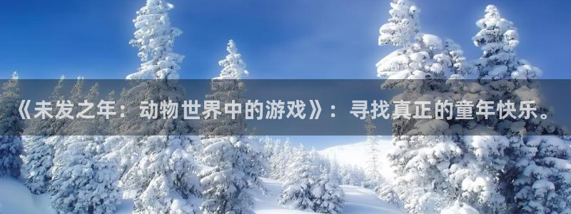 新宝gg注册登录账号：《未发之年：动物世界中的游戏》：寻找真正的童年快乐。